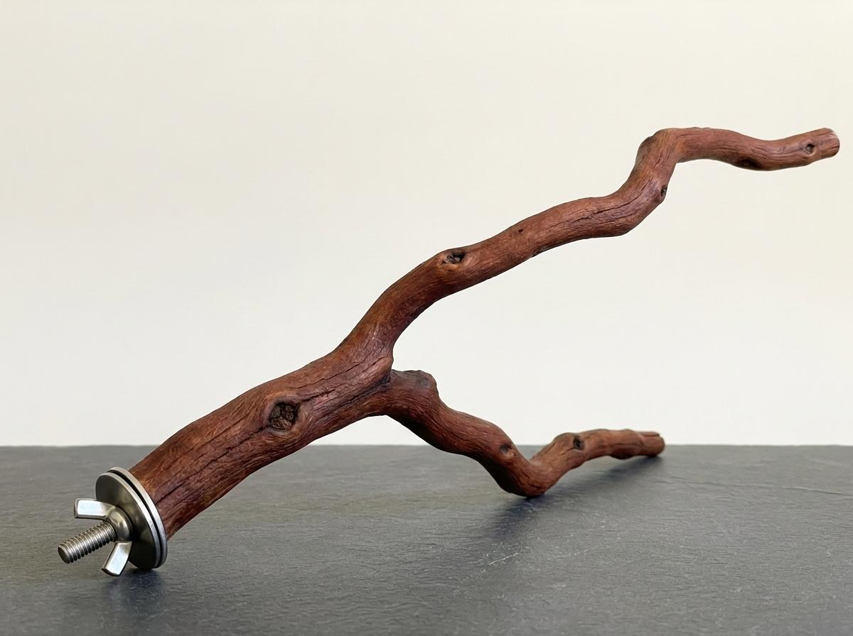 My Manzanita Large Forked Branch